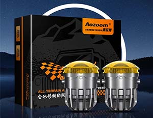 RANGROVER FOG LAMP 2'