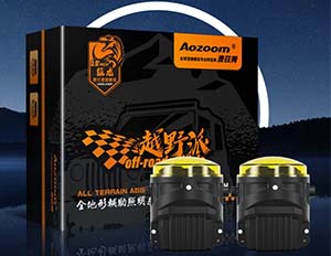 TOYOTA UNIVERSAL DRAGON FOG LAMP 3'