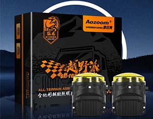 UNIVERSAL DRAGON FOG LAMP 3'